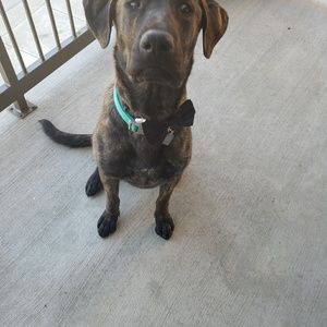 Meet your Posher, Krystal